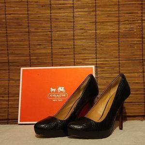 Coach Kristina Gloss Snake, Black, Women 8M US